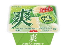 ロッテ 爽 メロンソーダフロート