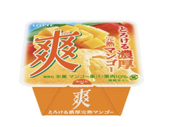 ロッテ 爽 とろける濃厚完熟マンゴー