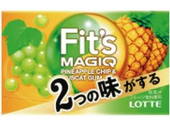 Fit’s MAGIQ パインチップ＆マスカット 箱12枚