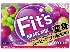 Fit’s グレープミックス 箱12枚