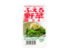 大塚食品 ふえる野菜 豆苗 商品写真