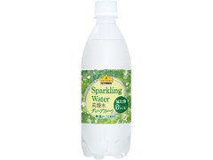 ベストプライス Sparkling Water 炭酸水 グレープフルーツ ペット500ml