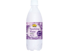 ベストプライス Sparkling Water 炭酸水 ぶどう ペット500ml