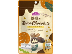 イオン トップバリュ 魅惑のSpiceChocolate ナツメグ＆ピーカンナッツ 商品写真