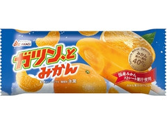 ガツン、とみかん シングル 袋85ml