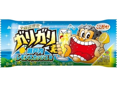 ガリガリ君 瀬戸内レモンスカッシュ味 袋110ml