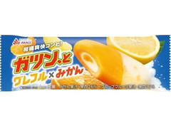 赤城 ガツン、とグレフル×みかん 商品写真