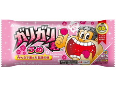 赤城 ガリガリ君 うめ