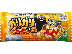 赤城 ガリガリ君 九州みかん 袋105ml