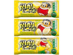 ガリガリ君グレープフルーツ 袋105ml