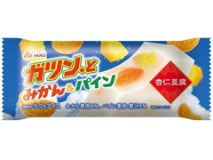 赤城 ガツン、とみかん＆パイン杏仁豆腐 商品写真