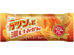 赤城 ガツン、と 濃いみかん 袋90ml