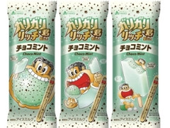 ガリガリ君リッチチョコミント 袋100ml