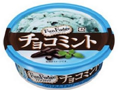 赤城 FunFudge チョコミント