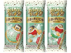 赤城 ガリガリ君リッチ 革新のチョコミント