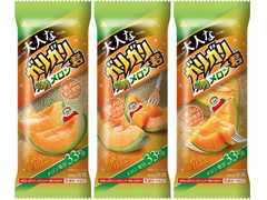 赤城 大人なガリガリ君 完熟メロン