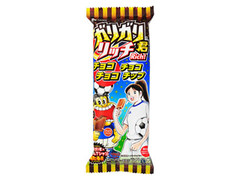 ガリガリ君リッチ チョコチョコチョコチップ 袋110ml