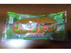 オイシス キンキパン サラダドッグ 高菜サラダ 商品写真