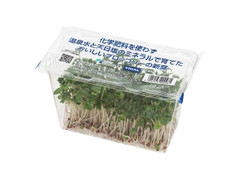 サラダコスモ コスモ ブロッコリーの新芽 商品写真