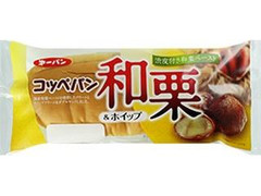 第一パン コッペパン 和栗＆ホイップ 袋1個