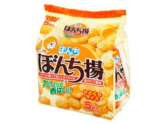 ぼんち ぼんち揚 ひとくちサイズ 袋25g×5