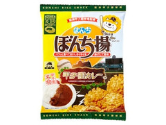 ぼんち ぼんち揚 甲子園カレー 商品写真