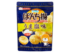 ぼんち うま塩味 商品写真