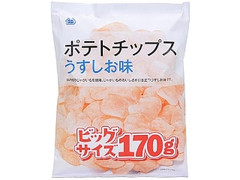 ミニストップ ポテトチップスうすしお味ビッグ