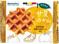 マネケン 甘夏みかんワッフル