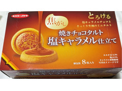 イトウ製菓 ミスターイトウ 焼きチョコタルト 焦がし 塩キャラメル仕立て 商品写真