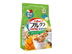 カルビー フルグラ トロピカルミックス ココナッツ味 袋700g