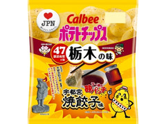 カルビー ポテトチップス 宇都宮焼餃子味 商品写真
