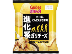 カルビー ポテトチップス ガリチーズ＆チキン 商品写真
