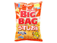 ポテトチップス ビッグバッグ うすしお味 袋170g