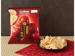 ポテトチップス 梅好きのためのTHE 梅味 60g