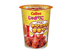 カルビー じゃがりこ ヤンニョムチキン味L 商品写真