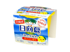 Dairy 日向夏のみかんヨーグルト 商品写真