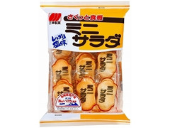 三幸製菓 ミニサラダ しお味 商品写真