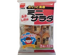 三幸製菓 ミニサラダ あましお味 商品写真