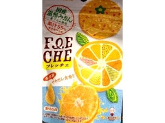 UHA味覚糖 フレッチェ 温州みかん味 商品写真