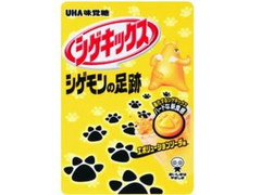 UHA味覚糖 シゲキックス シゲモンの足跡 エボリューションソーダ 商品写真