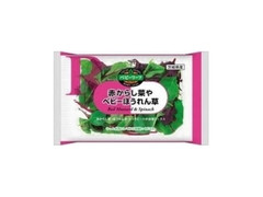 S＆B 赤からし菜やベビーほうれん草 商品写真