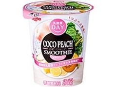 日本ルナ 乳酸菌DAY ココピーチスムージー 商品写真