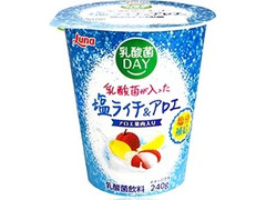 日本ルナ 乳酸菌が入った塩ライチ＆アロエ 商品写真