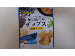 岩塚製菓 畑のめぐみチップス穀物ブレンド うす塩味 商品写真