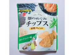 岩塚製菓 畑のめぐみチップス 穀物ブレンド オリーブベッパー味 商品写真