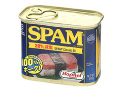 スパム ランチョンミート レスソルト EO