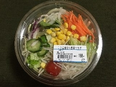 ベジミール 10品目の生野菜サラダ 商品写真
