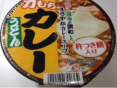 コープ 力もちカレーうどん