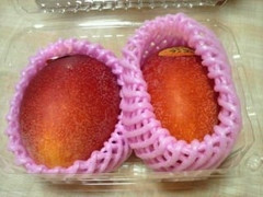 JAおきなわ 沖縄産マンゴー 商品写真